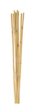 Bamboo Garden Cane 8'