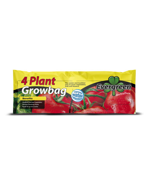 Evergreen 4 Plant Growbag 36L