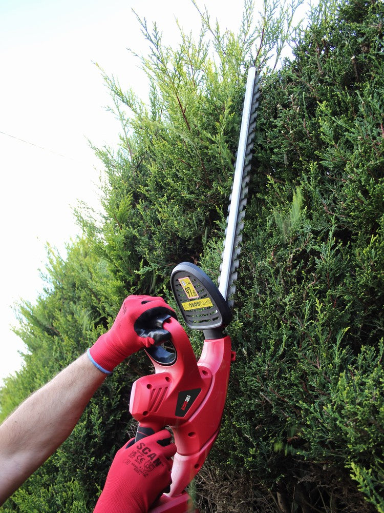 Olympia Cordless Hedge Trimmer 20V