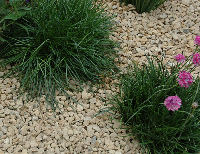 Cotswold Buff Chipping 10/20mm Bulk Bag 850kg