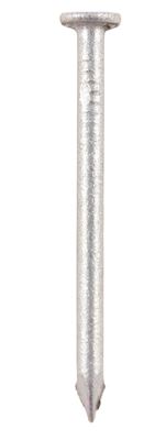 Round Wire Nail - Galvanised 100mm x 4.50 - 500g