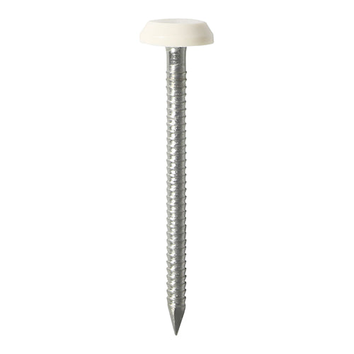 Polymer White Headed Nails 50mm - A4 Stainless Steel - Box 100