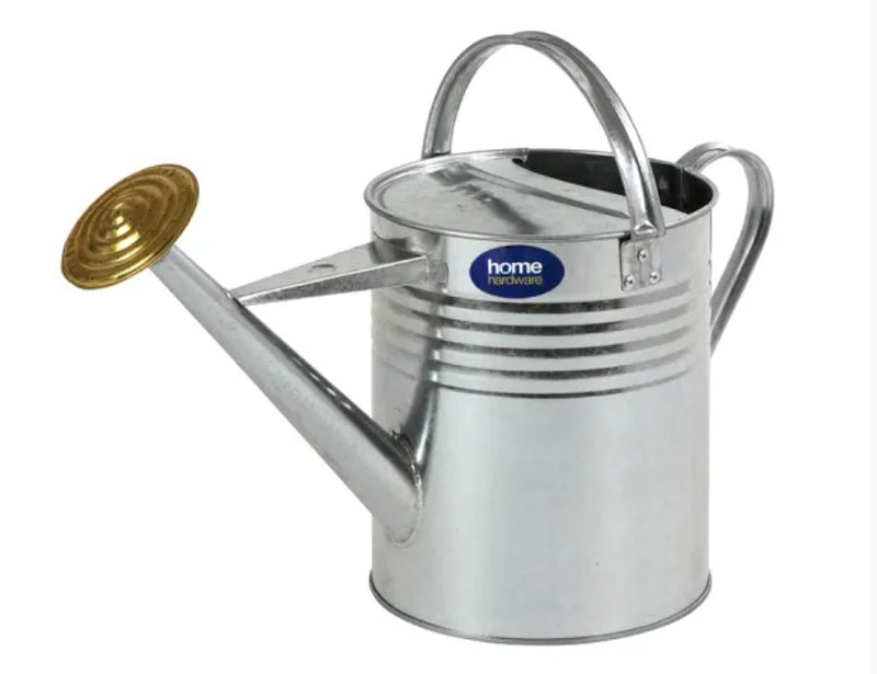 Watering Can Galvanised 2 Gallon