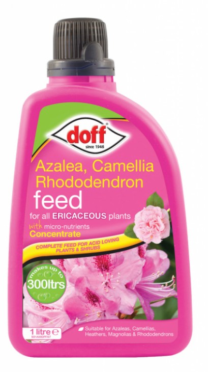 Doff Azalea, Camellia & Rhododendron Feed Concentrate 1 Litre