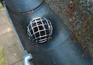 Gutter Pipe Leaf Guard Wire Balloon 65mm - Galvanised