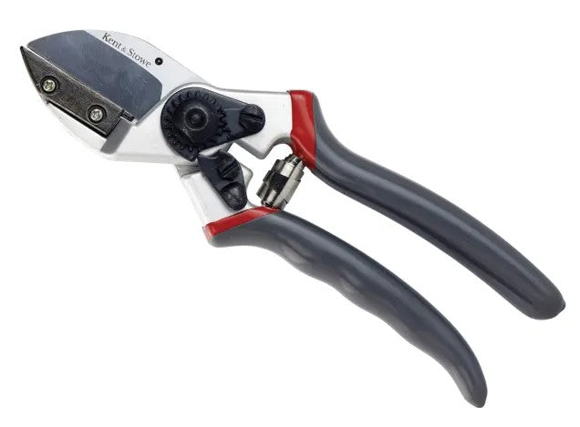 Kent & Stowe Professional Anvil Secateurs