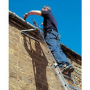 Werner Professional Ladder Stand Off