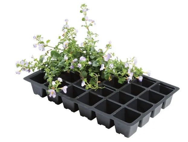 Seed Trays With 24 Cell Inserts x 5
